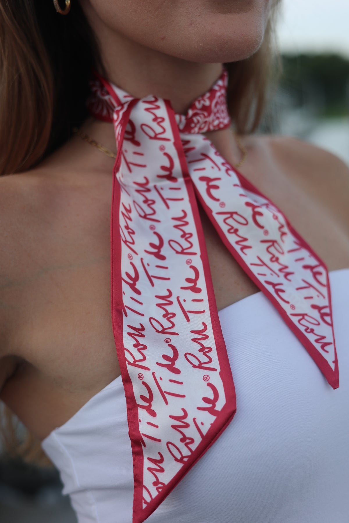 Alabama Game Day Scarf