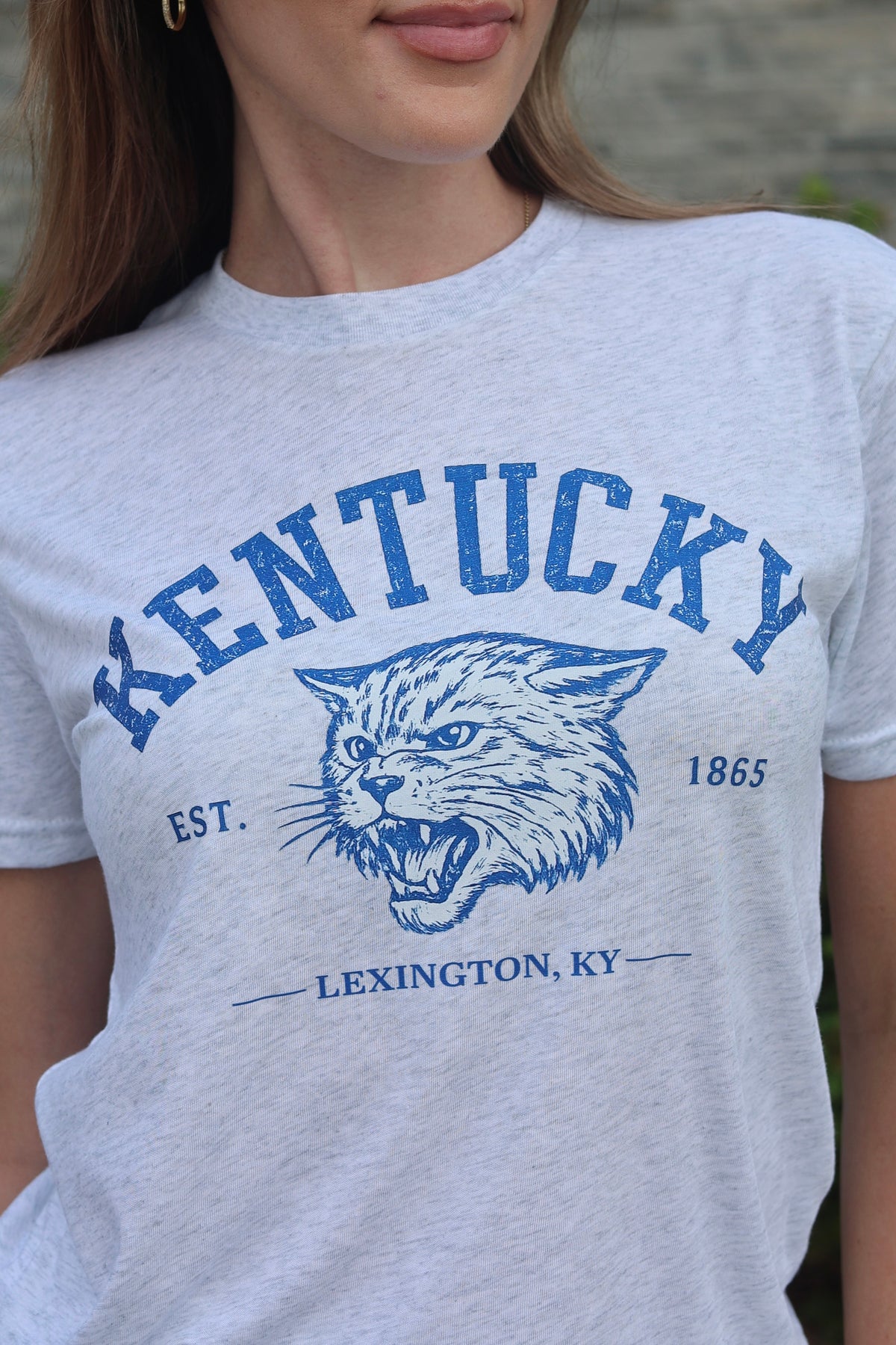 The Vintage Wildcat Tee