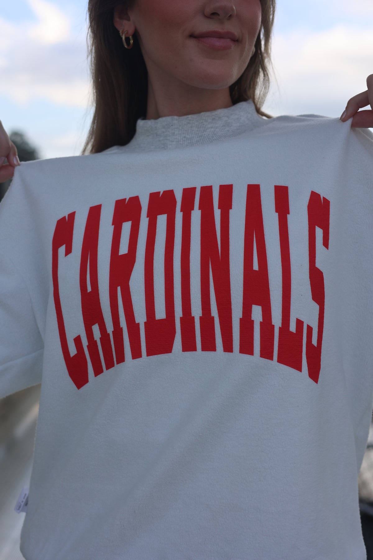 House Divided Reversible Mockneck