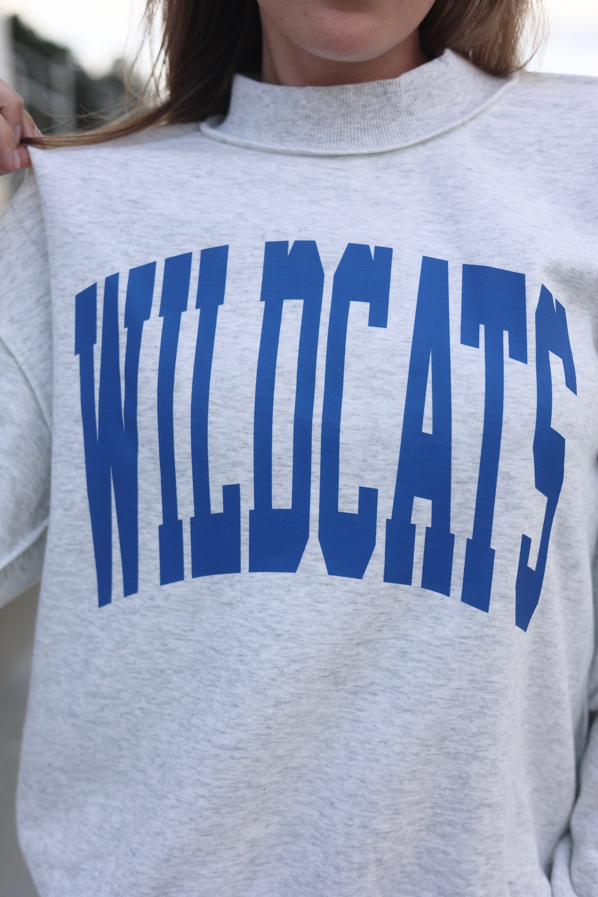 House Divided Reversible Mockneck